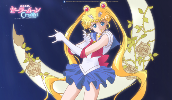 sailor moon (7)